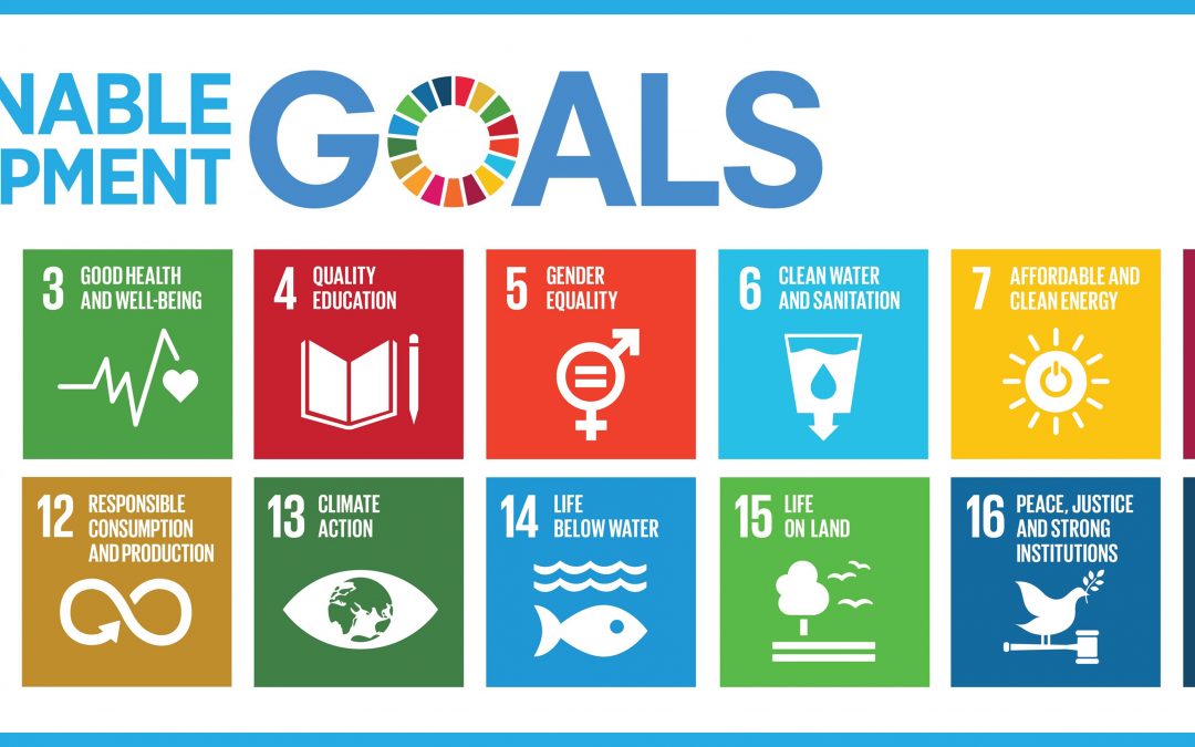 Executive Recruitment: A Catalyst for Sustainable Development Goals (SDGs)